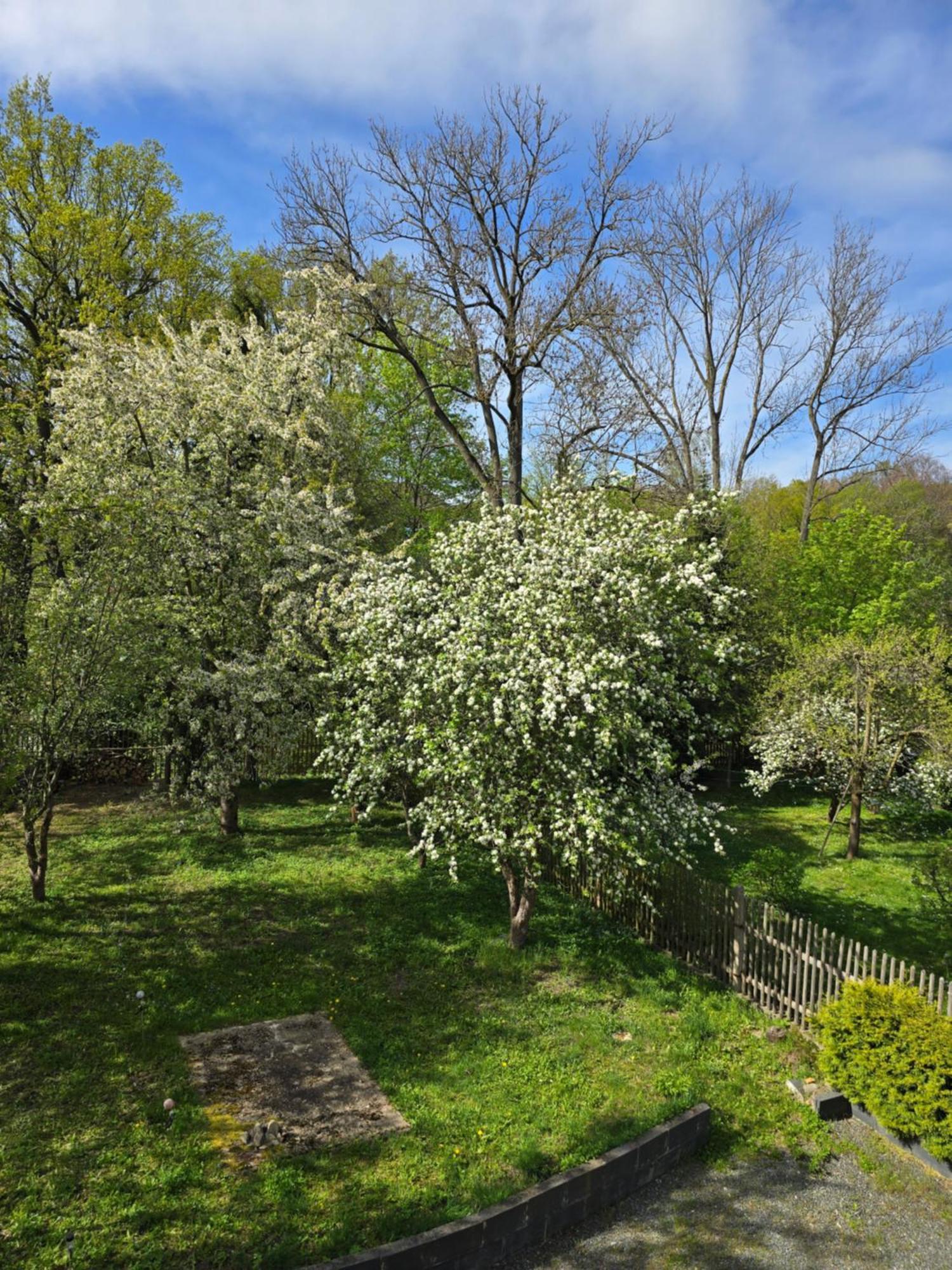 Villa Kuechwald Chemnitz Ngoại thất bức ảnh