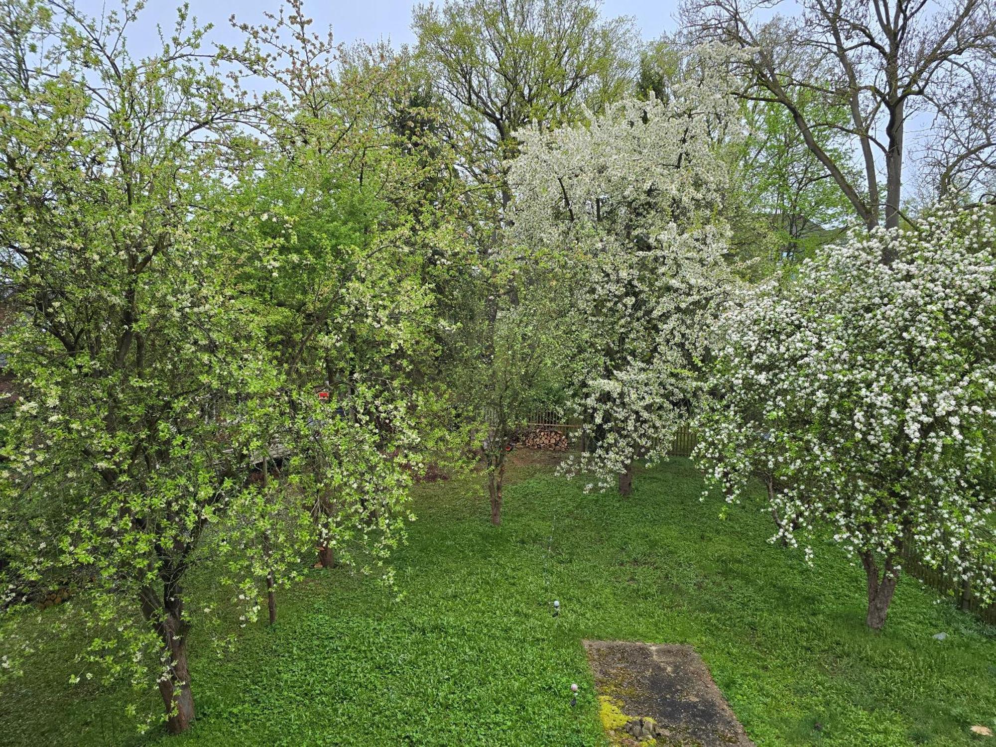 Villa Kuechwald Chemnitz Ngoại thất bức ảnh