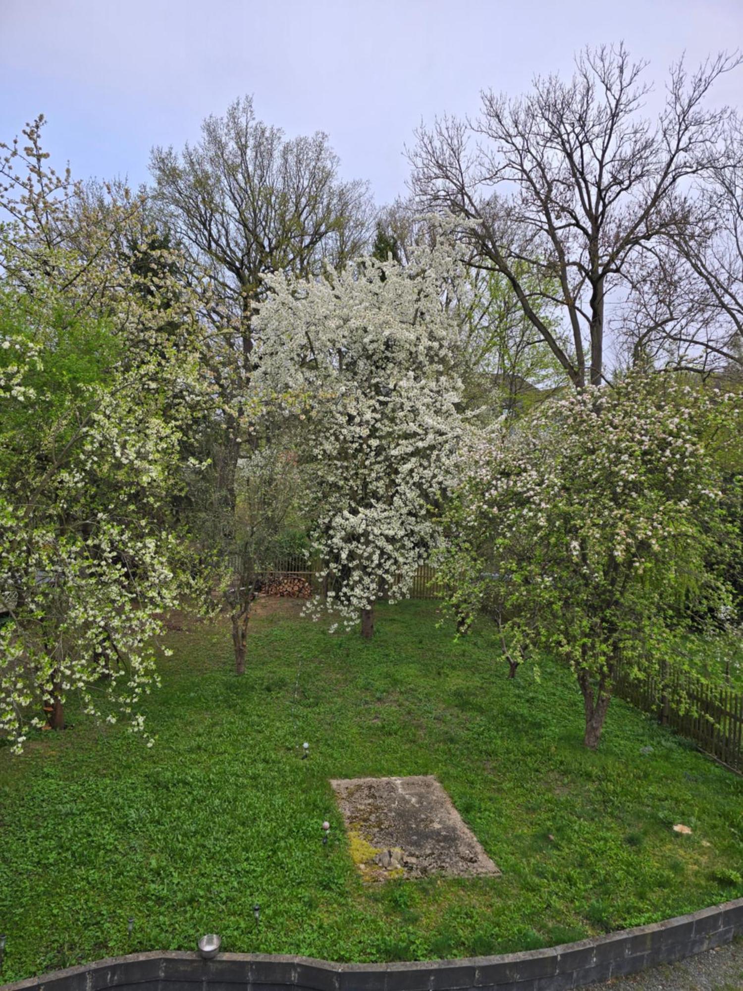 Villa Kuechwald Chemnitz Ngoại thất bức ảnh