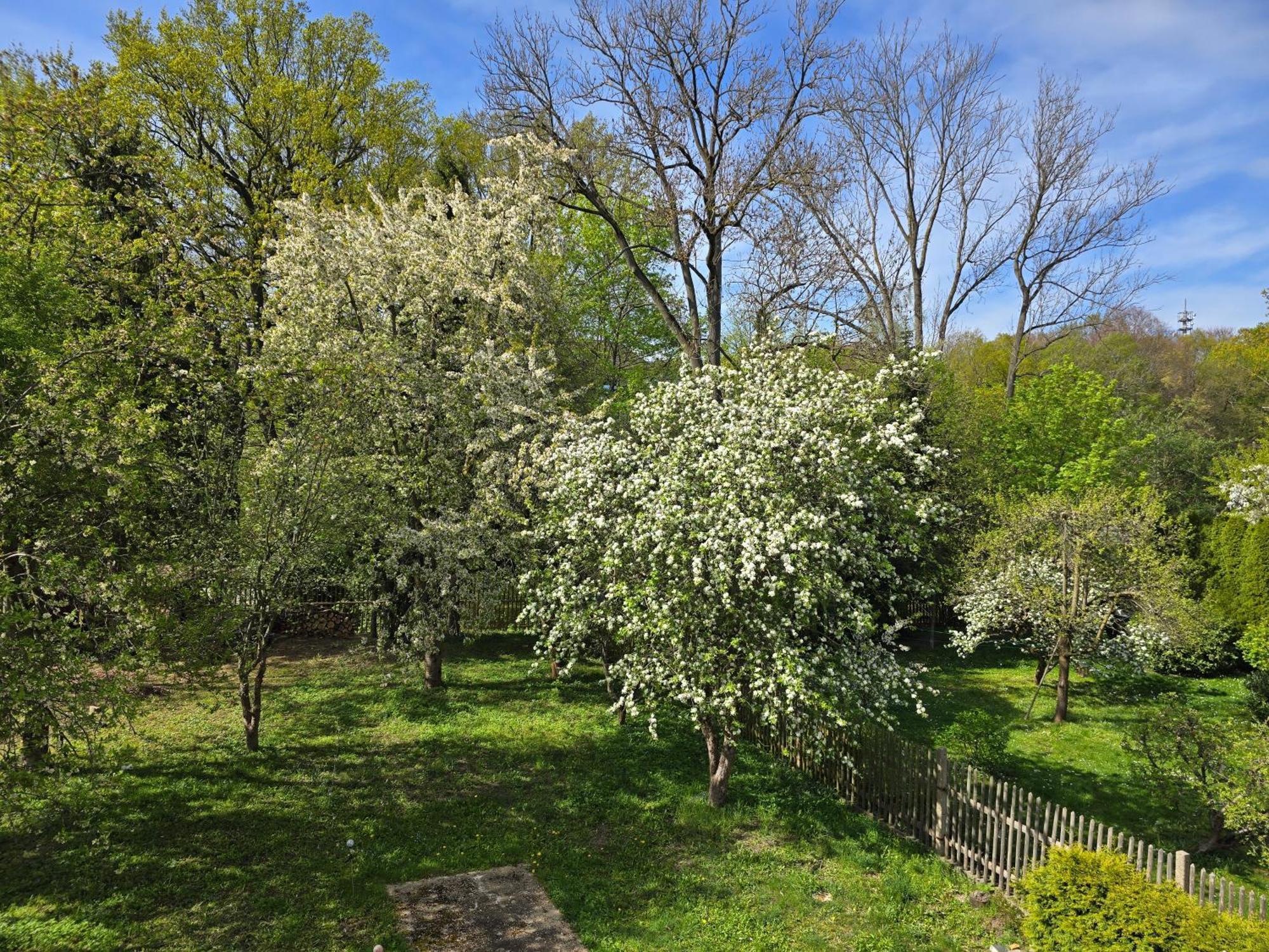 Villa Kuechwald Chemnitz Ngoại thất bức ảnh
